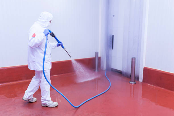 Professional Pressure Washing Services in Clarinda, IA